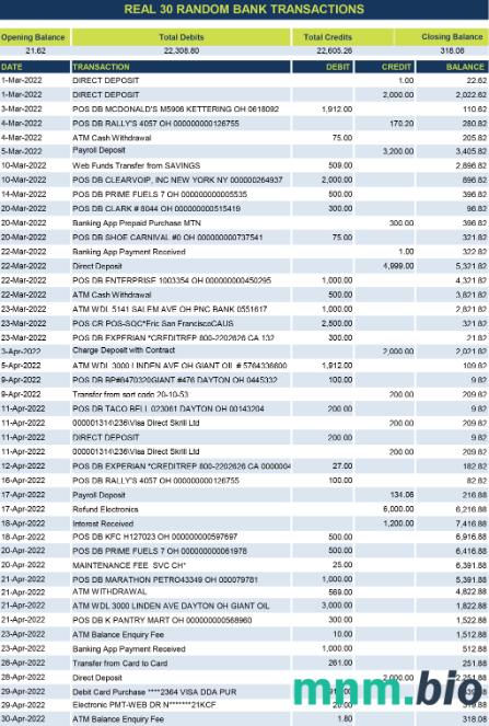 Zimbabwe Standard Chartered wyciąg bankowy, Excel i PDF szablon